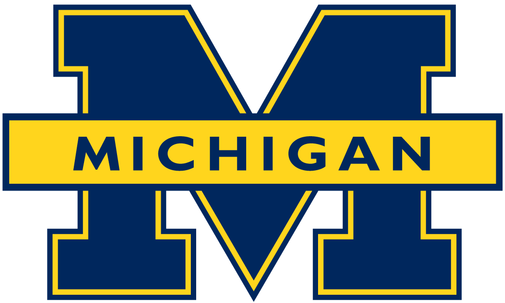 Michigan Wolverines 1996-2011 Primary Logo diy fabric transfer